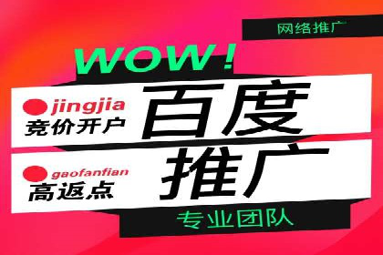 百度推广案例：低成本高回报的精准营销策略